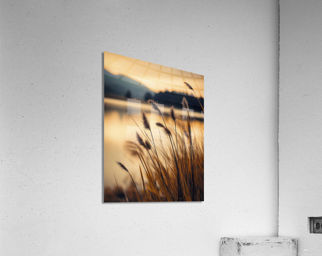 Acrylic Print