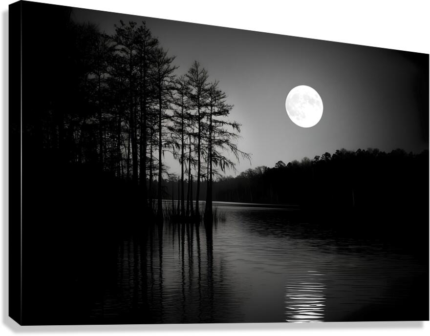 Giclée Stretched Canvas Print